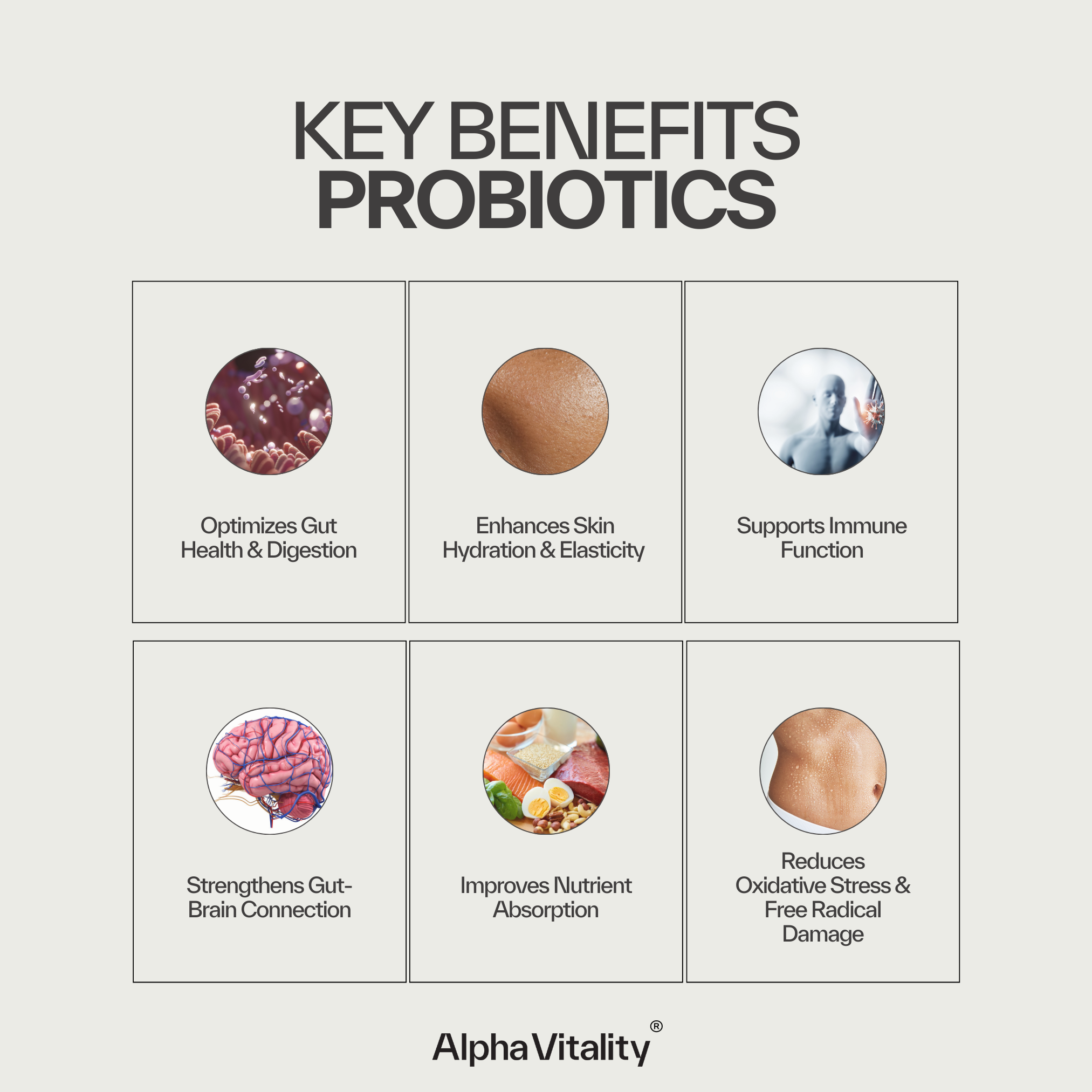 Ultimate Probiotic