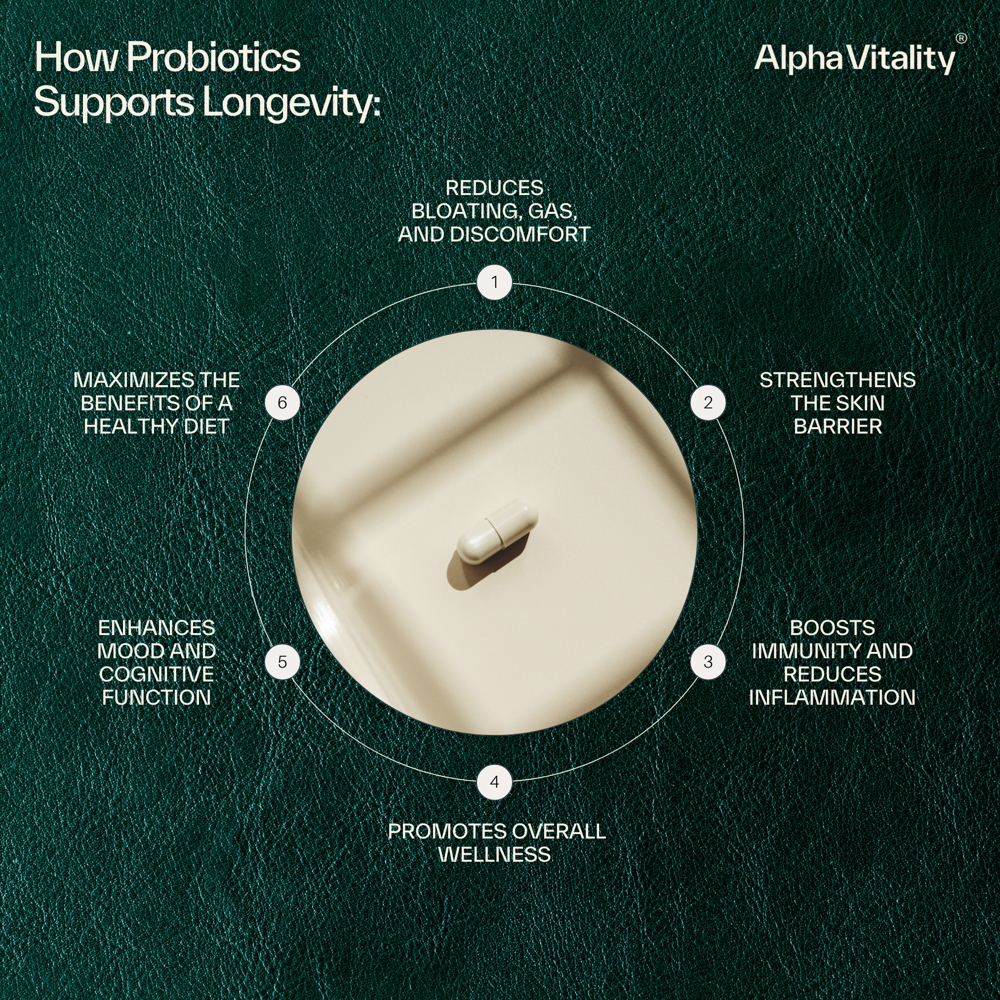 Ultimate Probiotic