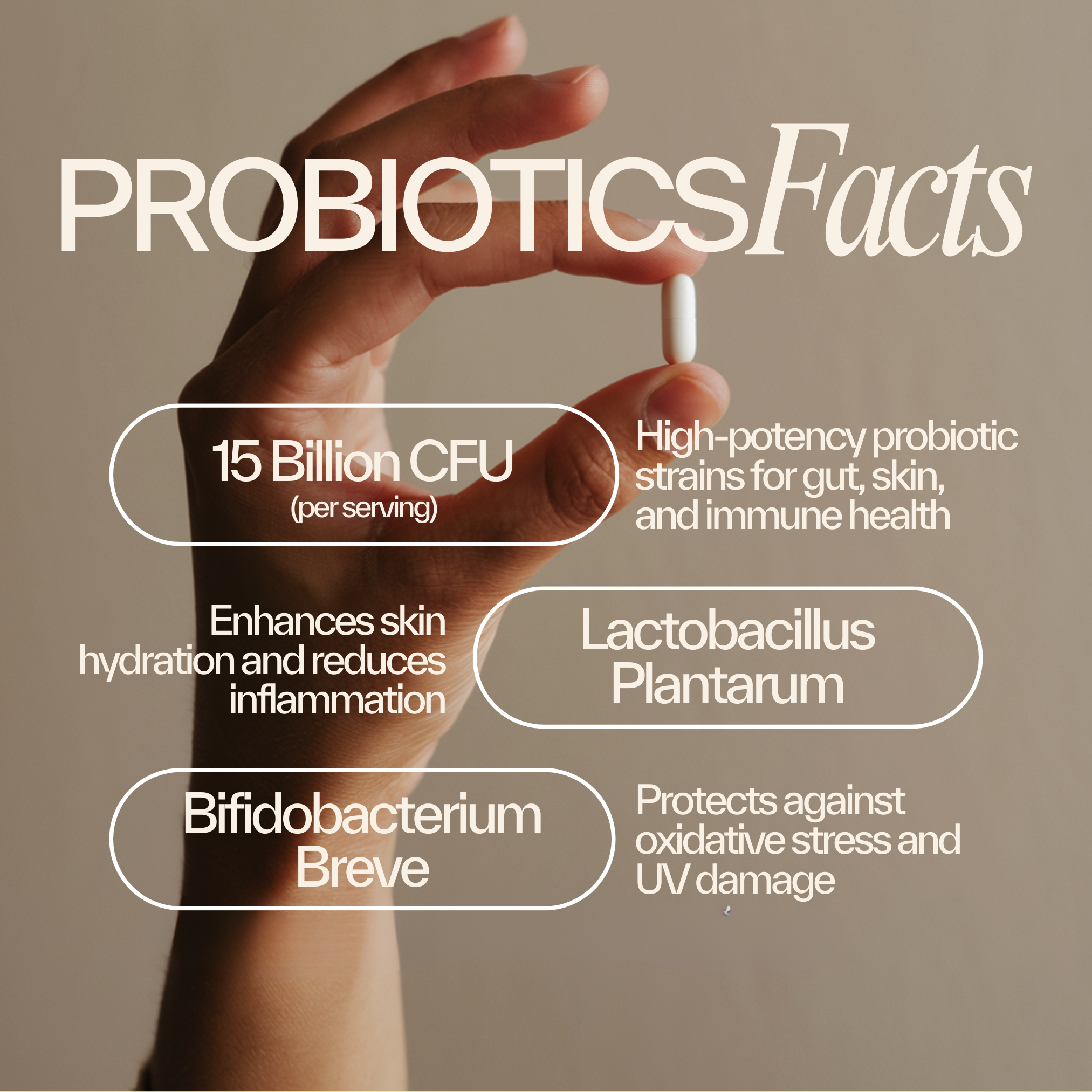 Ultimate Probiotic